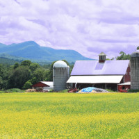 Vermont Products