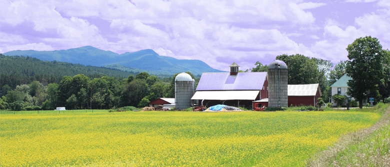 Vermont Products